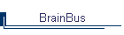 BrainBus
